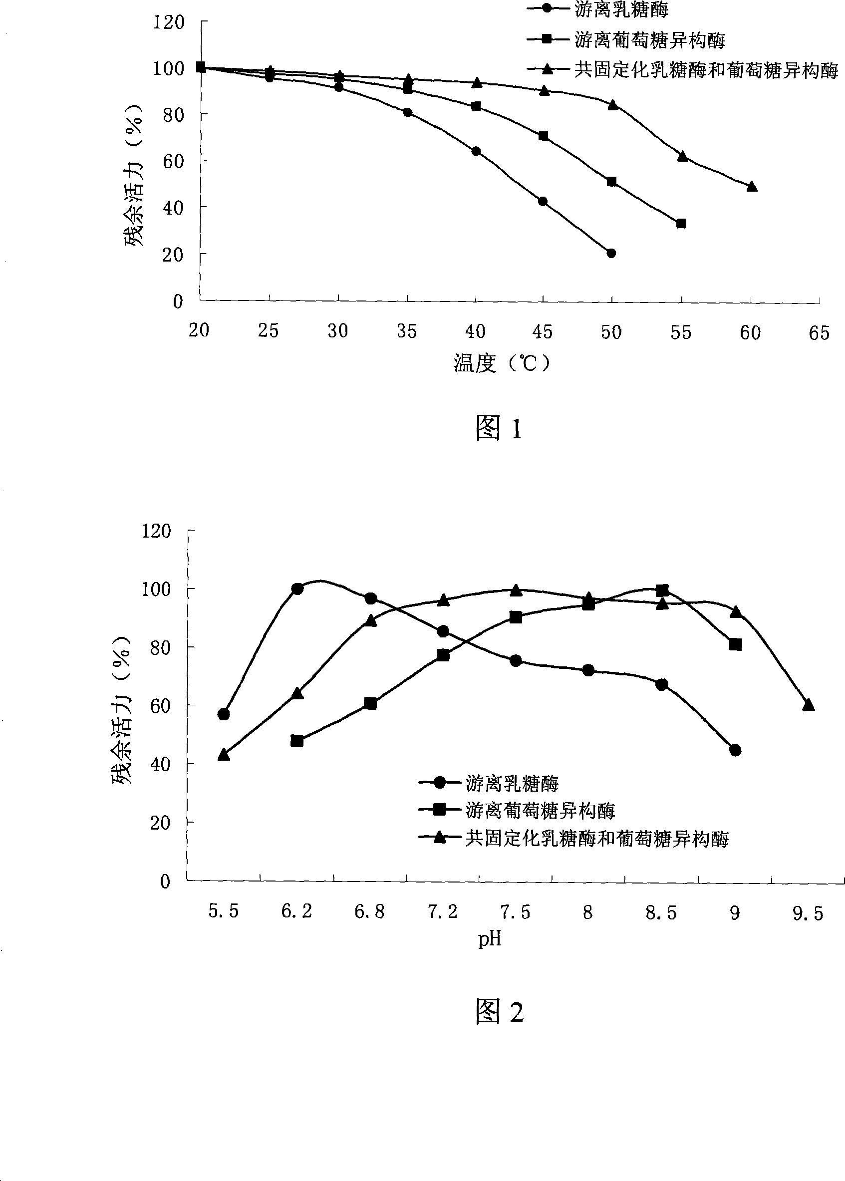 Lactose enzyme and common immobilization method of glucose isomerase