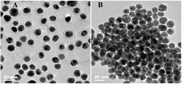 Colorimetric sensing method for detecting activity of DNA transmethylase based on DNA chain substituting circulation amplifying technology