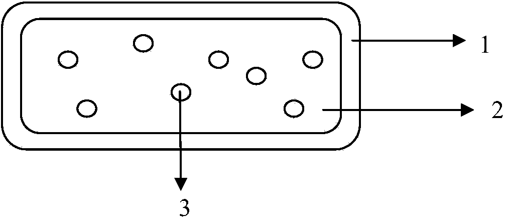 Microbial fertilizer granule, microbial fertilizer granule carrier and preparation method of microbial fertilizer granule