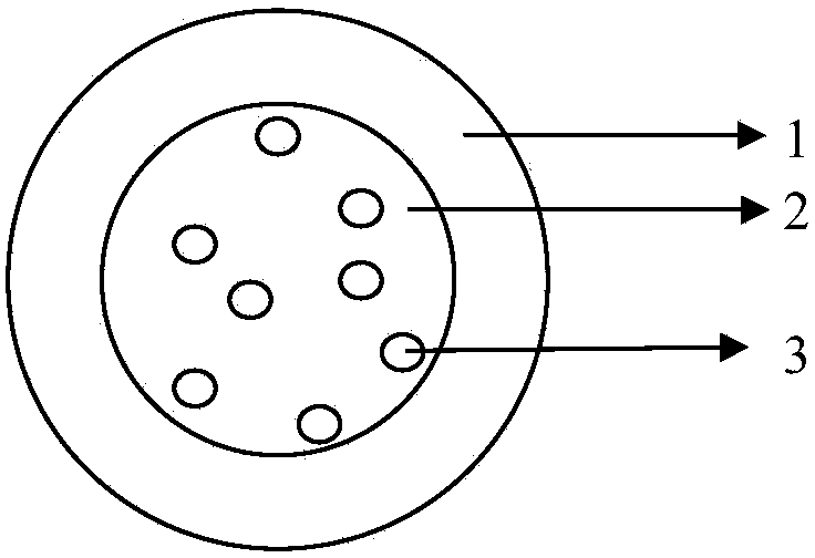 Microbial fertilizer granule, microbial fertilizer granule carrier and preparation method of microbial fertilizer granule