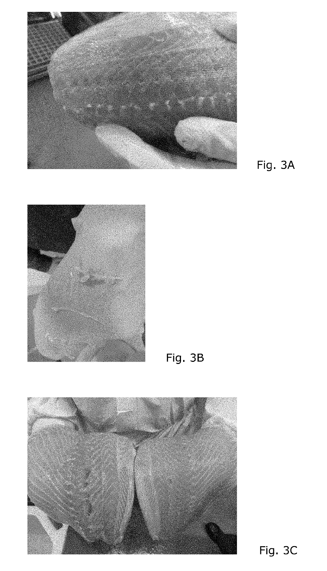 Method and device for delaying rigor mortis in fish