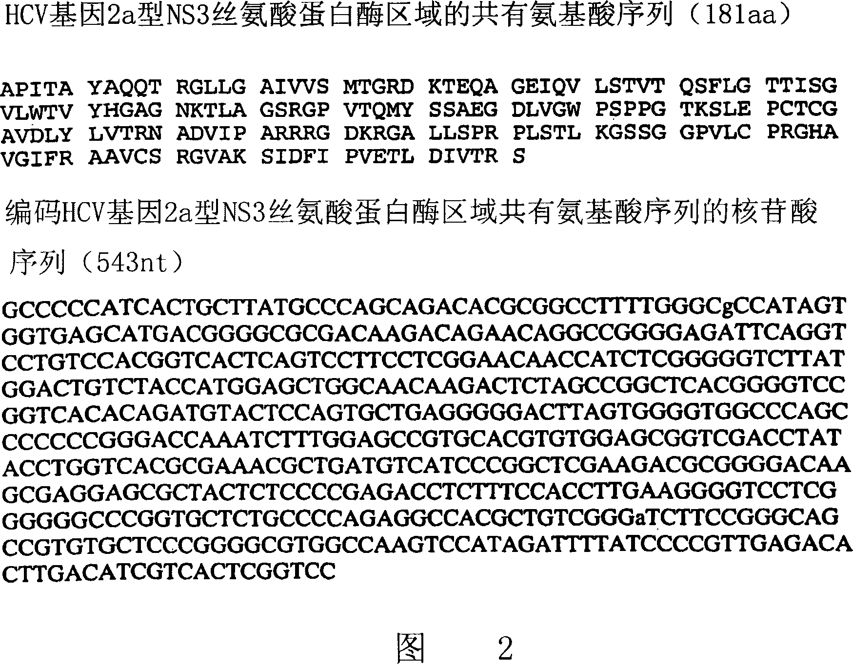 Hcv ns3-ns4a protease inhibition