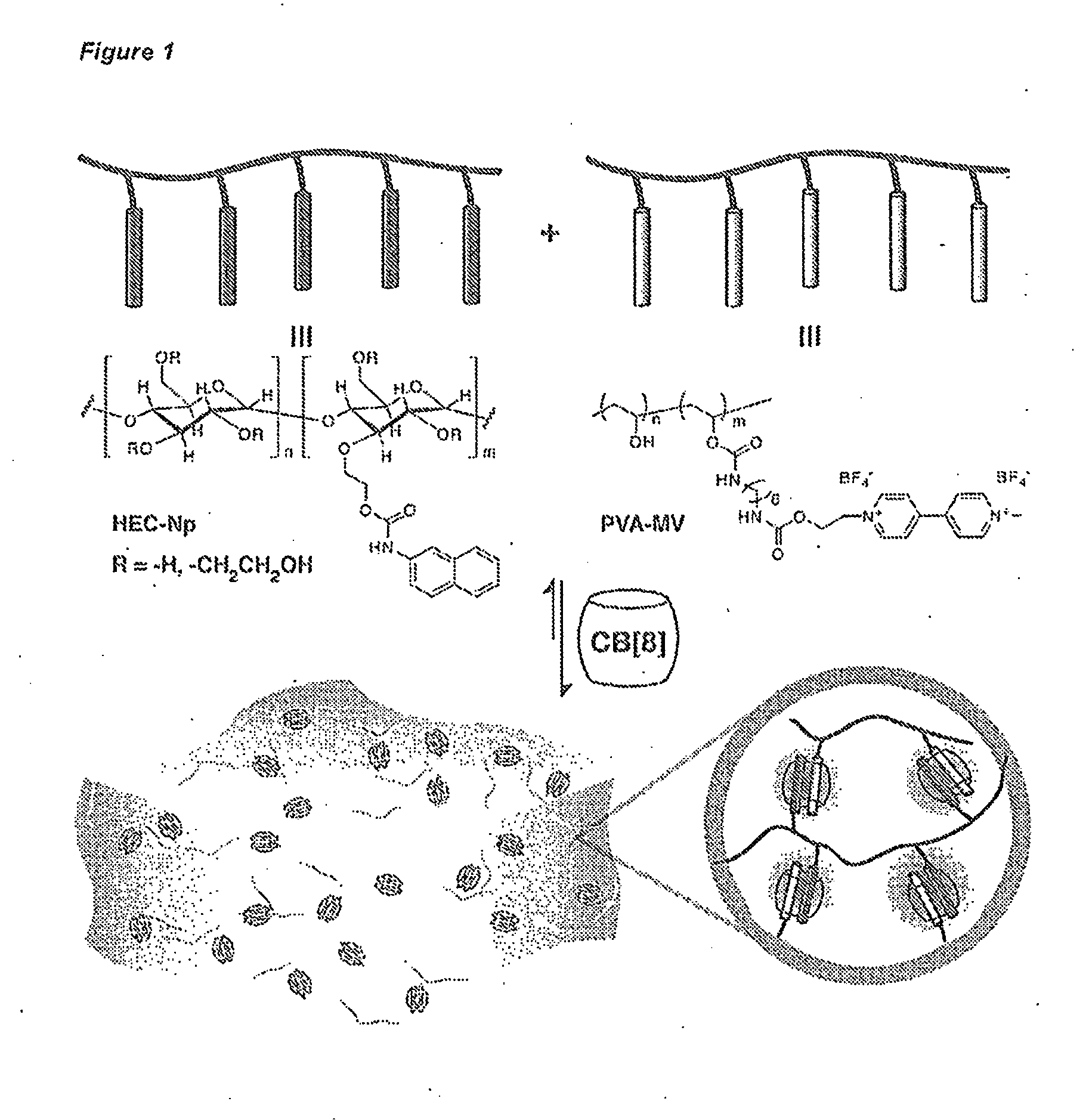 Cucurbituril-based hydrogels