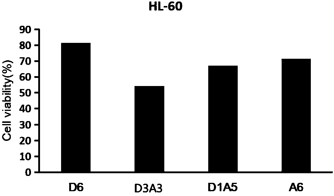 Application of N-acetylated chitohexaose for inhibiting proliferation of tumor cells