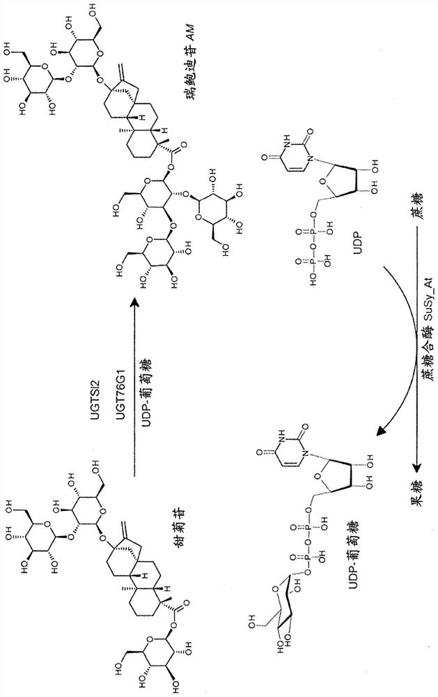 High-purity steviol glycosides