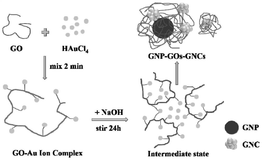 Gold nanoparticle-gold nanocluster composite material as well as preparation method and application thereof