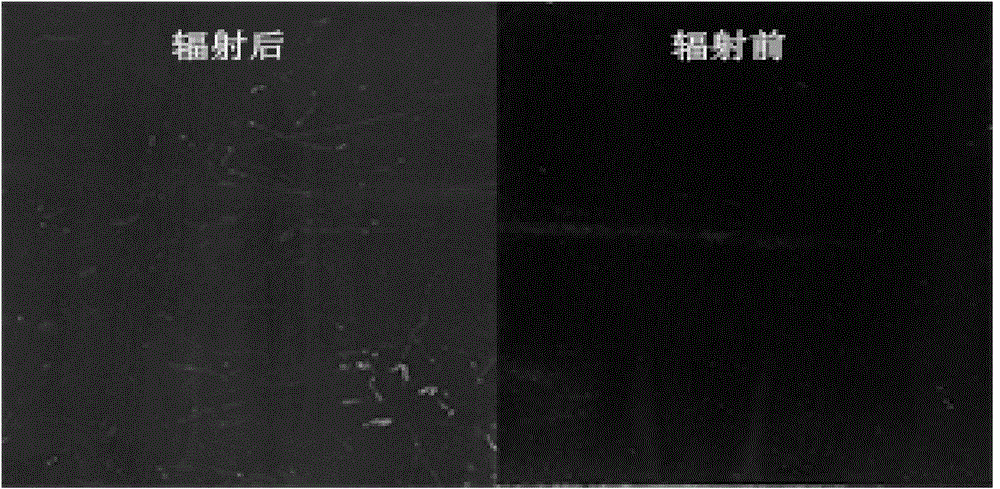 Nano-modified organic silicon coating with high temperature resistance, corrosion resistance and nuclear radiation resistance as well as preparation and application