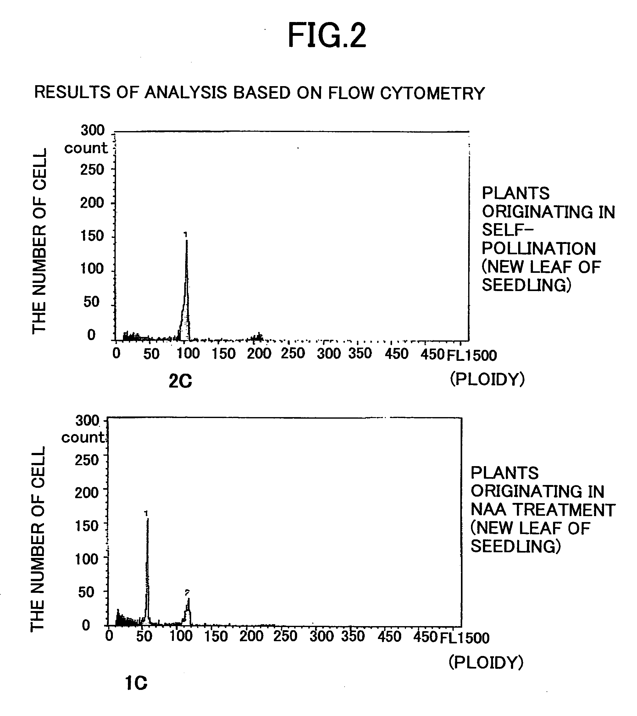 Method of constructing orchid haploid by treating unfertilized orchid flower with auxin and method of growing orchid