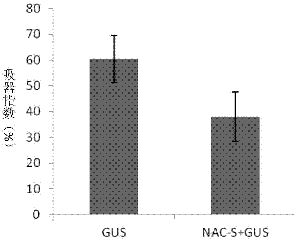 A nac transcription factor gene tanacs in wheat and its expression vector and application