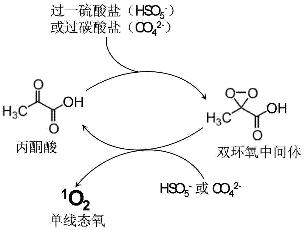 A water treatment method for decontamination by catalyzing peroxide to generate singlet oxygen