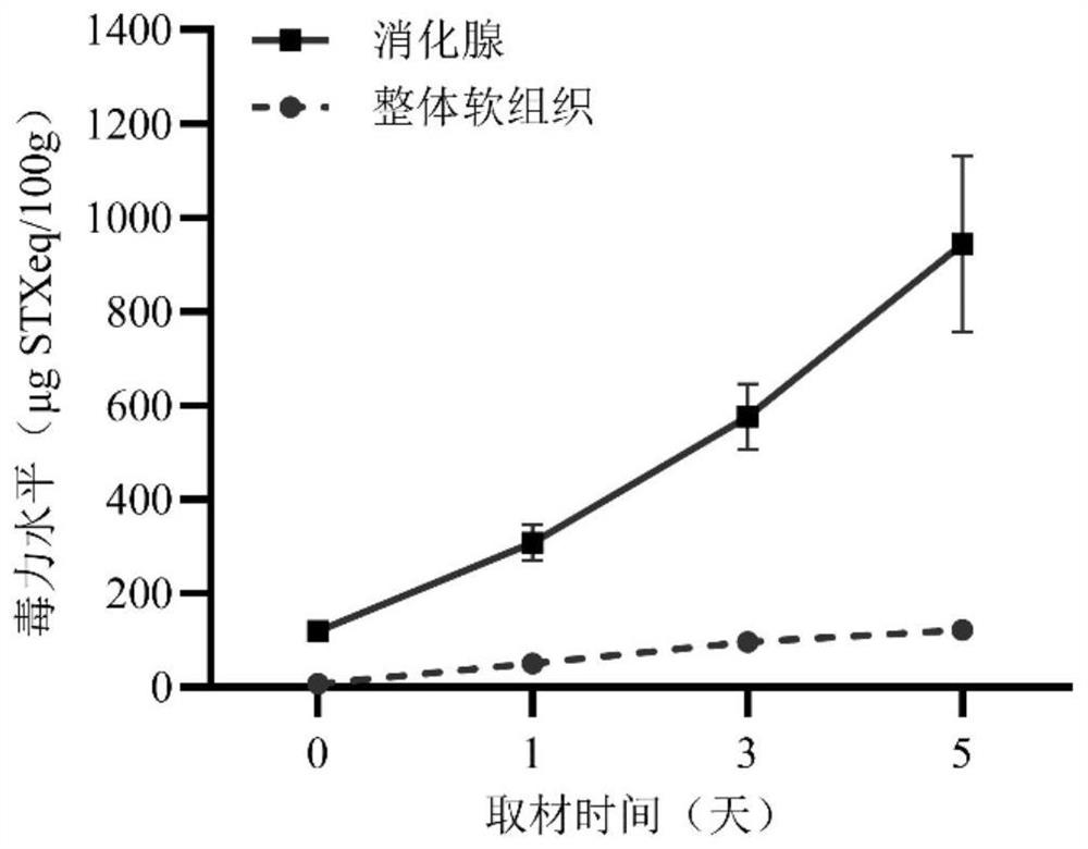 Early warning method for paralytic saxitoxin in bivalve mollusks