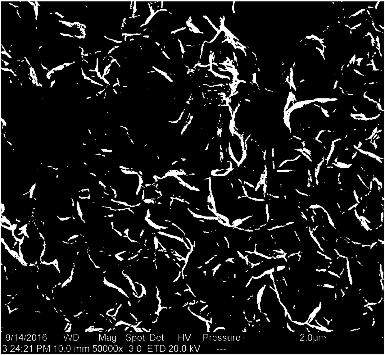 In-situ synthetic method for zeolite molecular sieve membrane