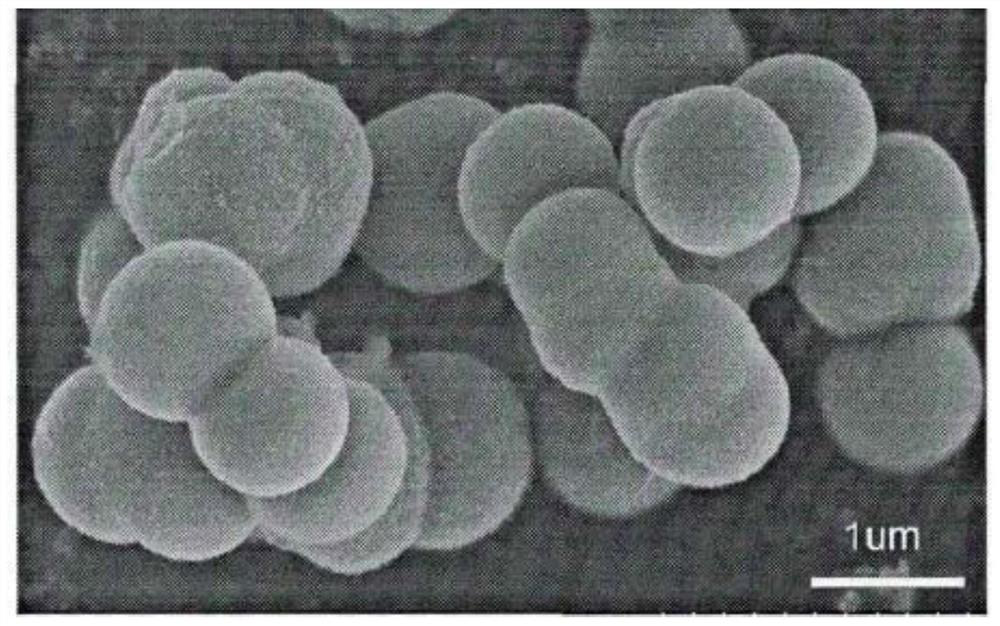 A preparation method of self-healing microcapsules and its application in superhydrophobic coatings