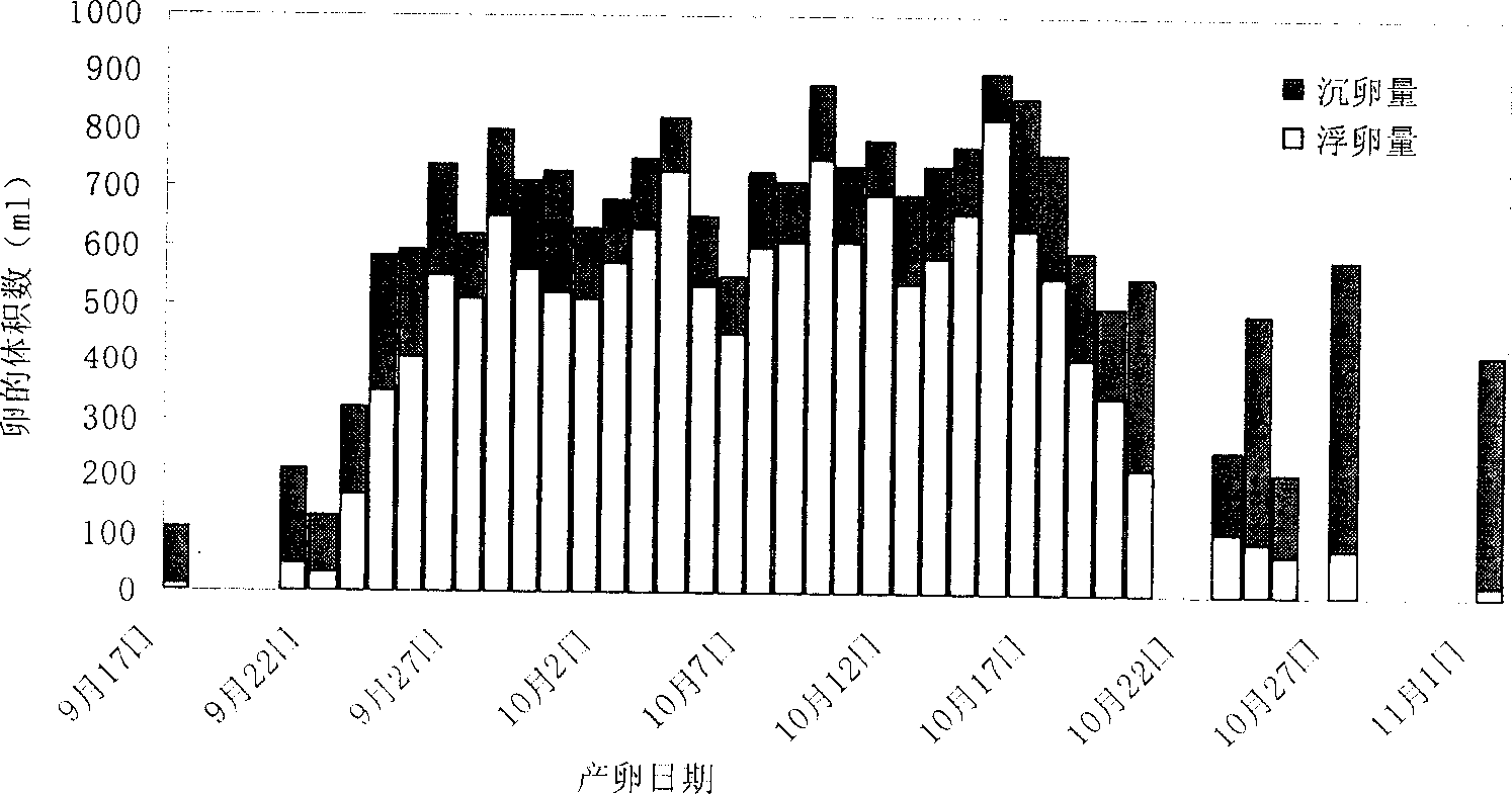 Technological method for temperature and light control of cynoglossus semilaevis Gunther parent fish spawning