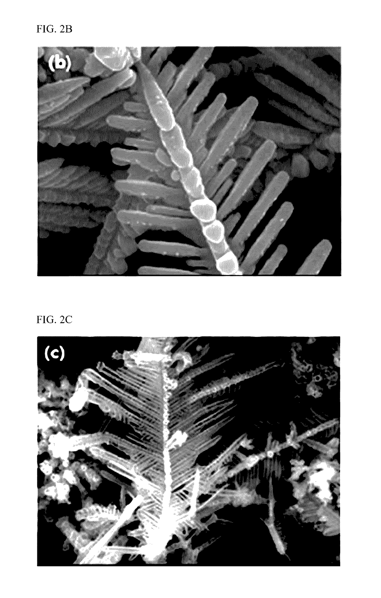 Method of manufacturing powder having high surface area