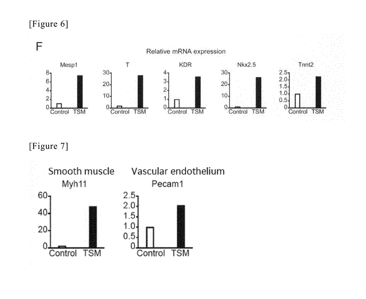 Method for directly producing cardiac precursor cell or myocardial cell from fibroblast