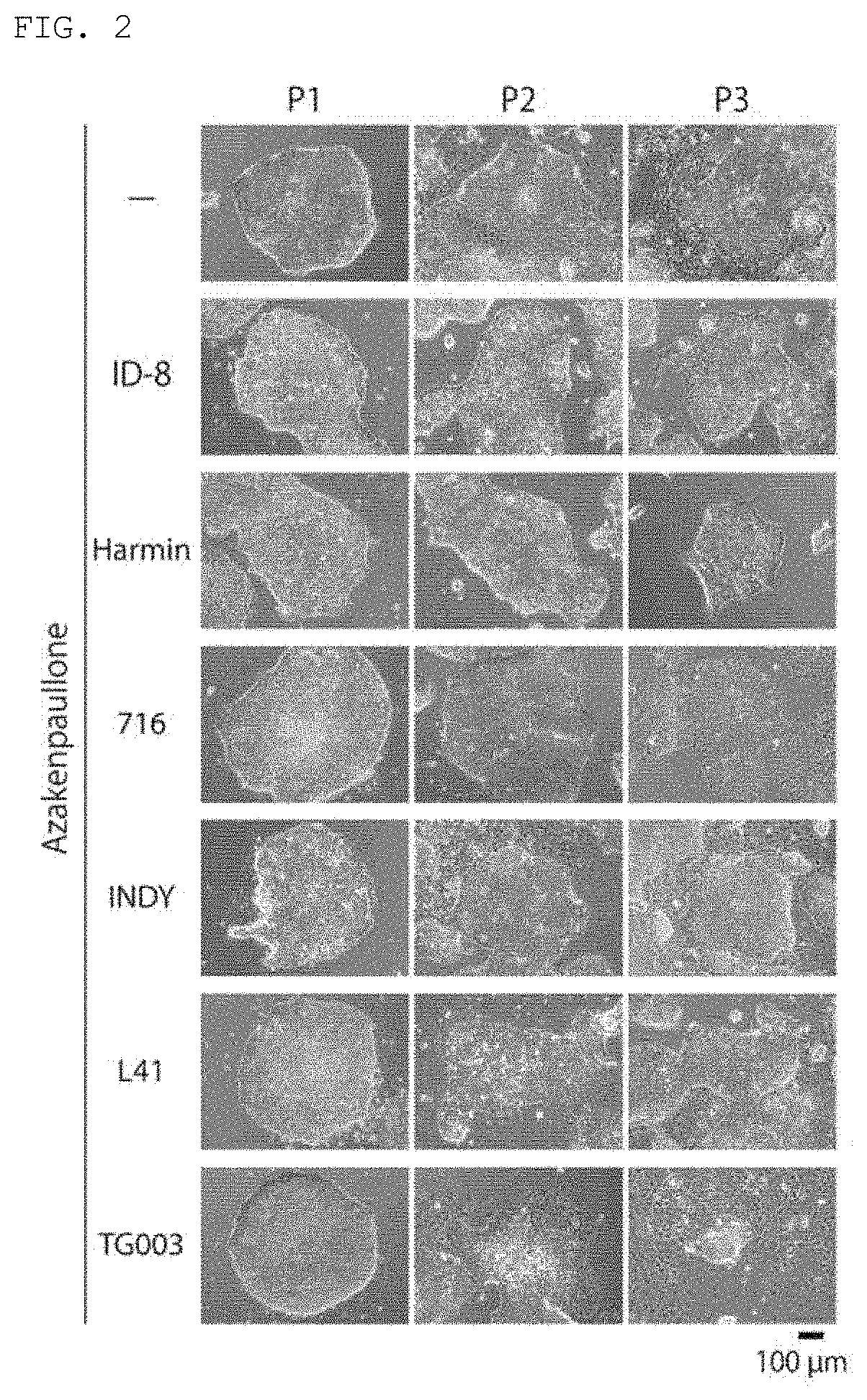 Culture medium for pluripotent stem cells