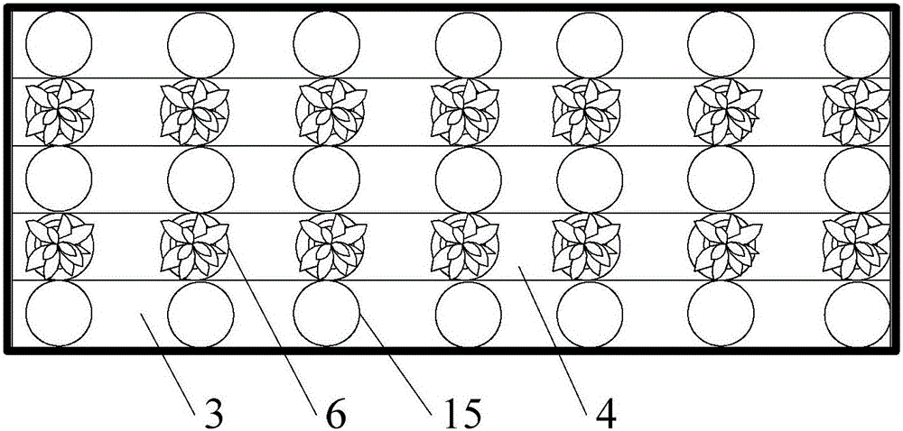 Automatic adjusting system for layered and sustainable picking of indoor strawberries