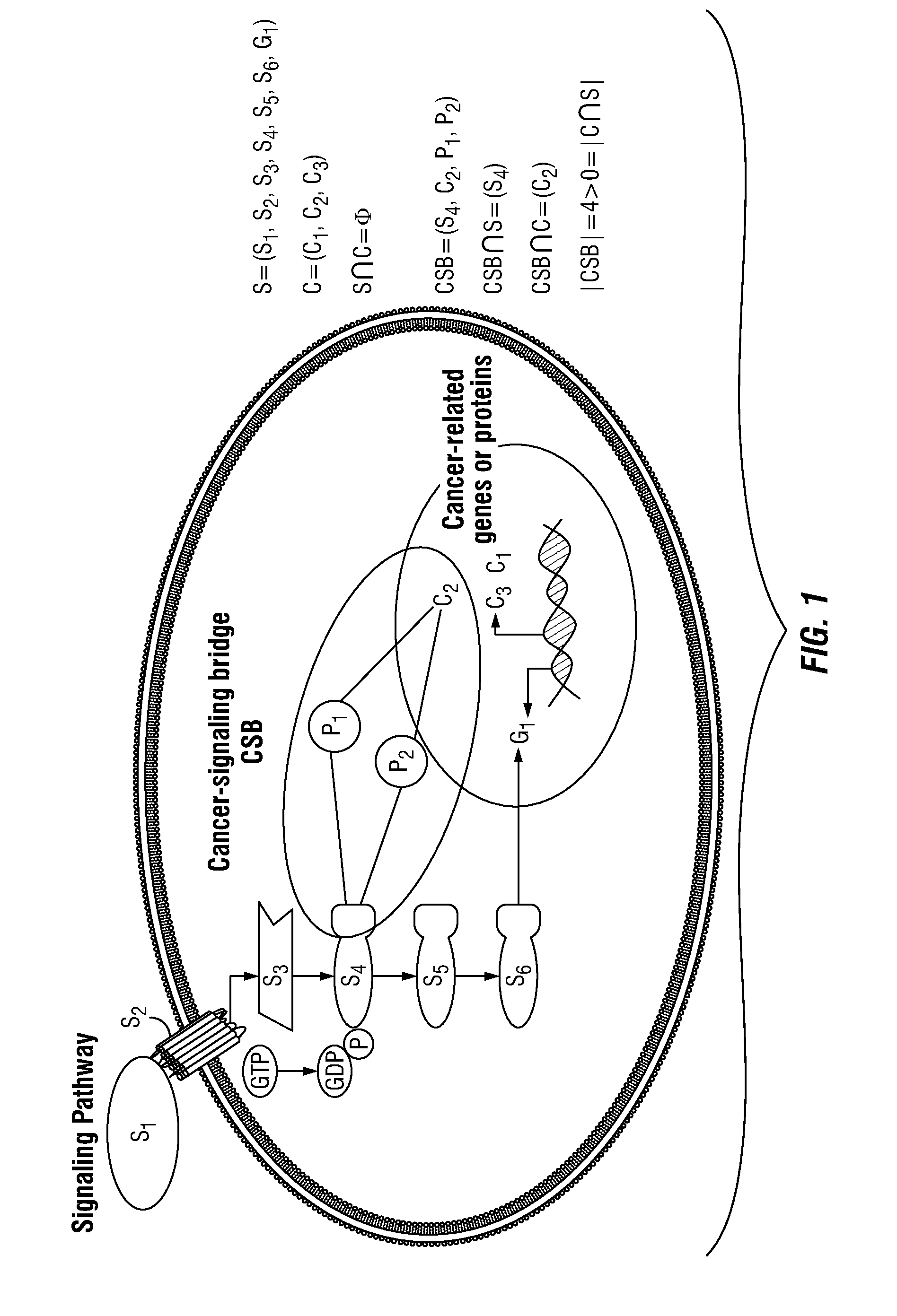 Drug Repositioning Methods For Targeting Breast Tumor Initiating Cells