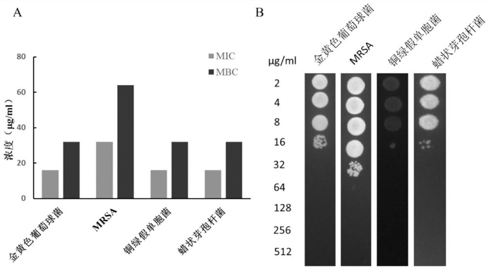 A kind of screening method of antimicrobial peptide and its application