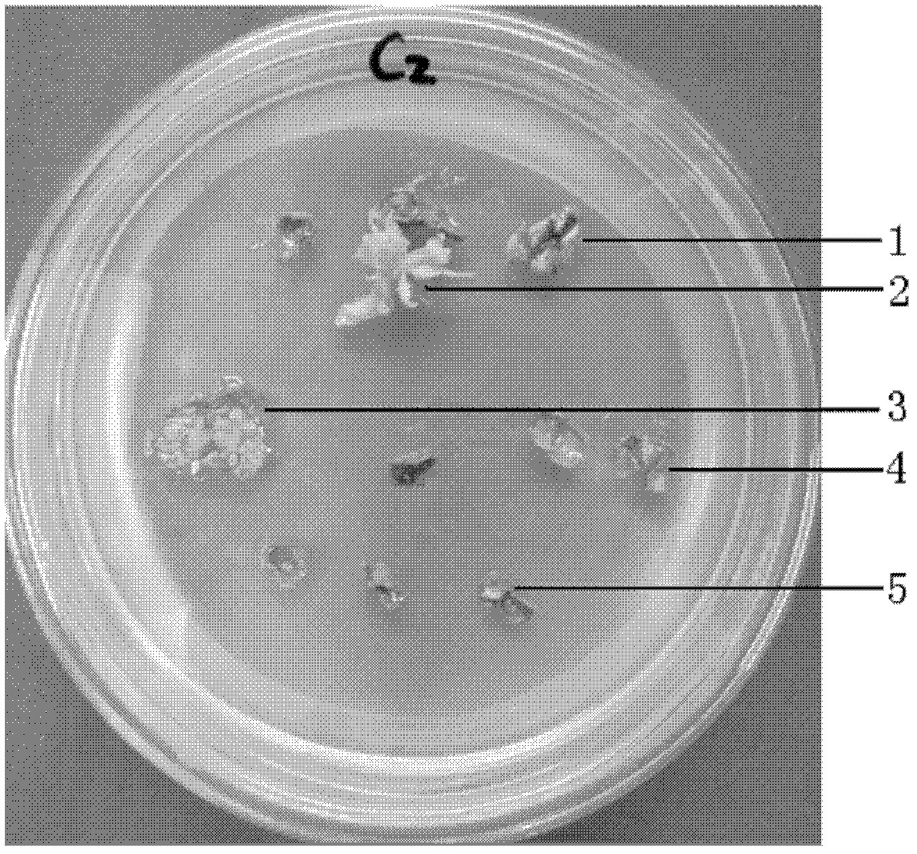 Agrobacterium-mediated method for culturing transgenic populus wutunensis plants