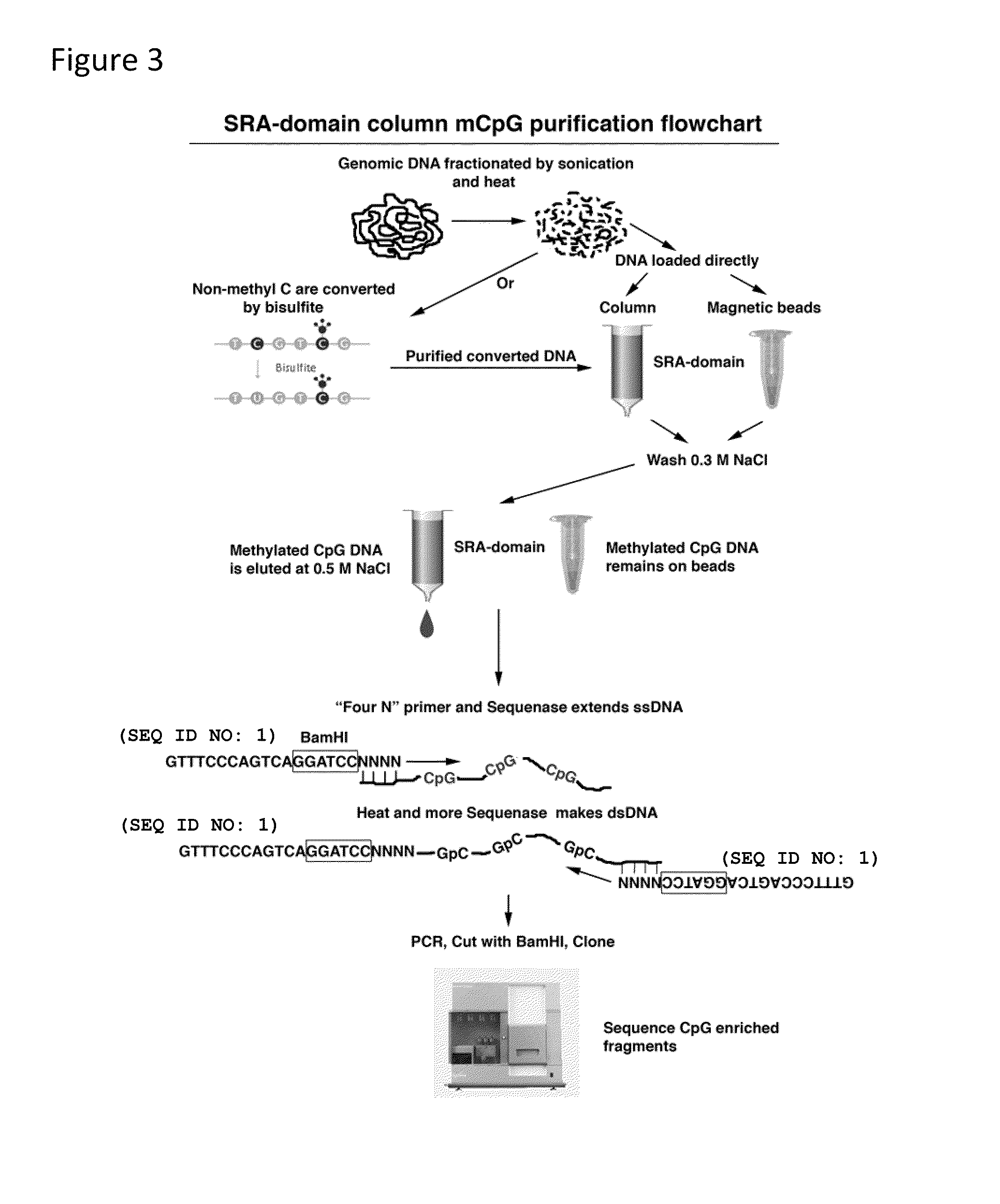 Method for enriching methylated CpG sequences