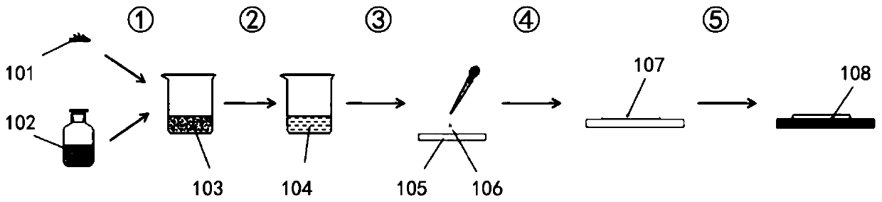 Polymer film containing alkene telluride, and preparation method and application of polymer film