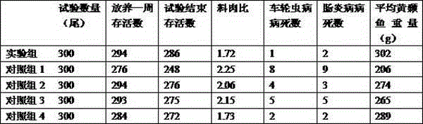 Method for breeding high-yield pelteobagrus fulvidraco