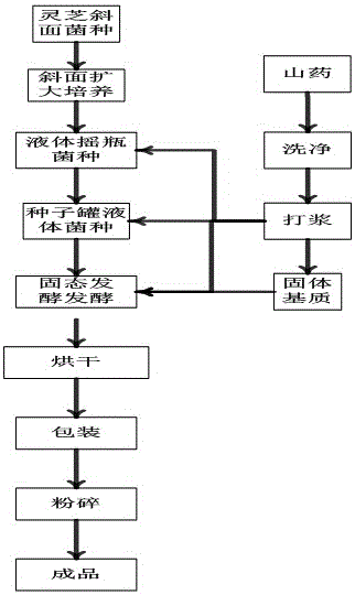 Method of producing functional food by using lucid ganoderma to transform Chinese yams