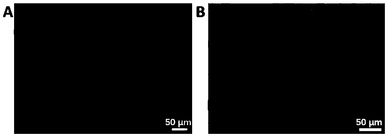 Method of transporting inert particles by using micro-nano motor cluster