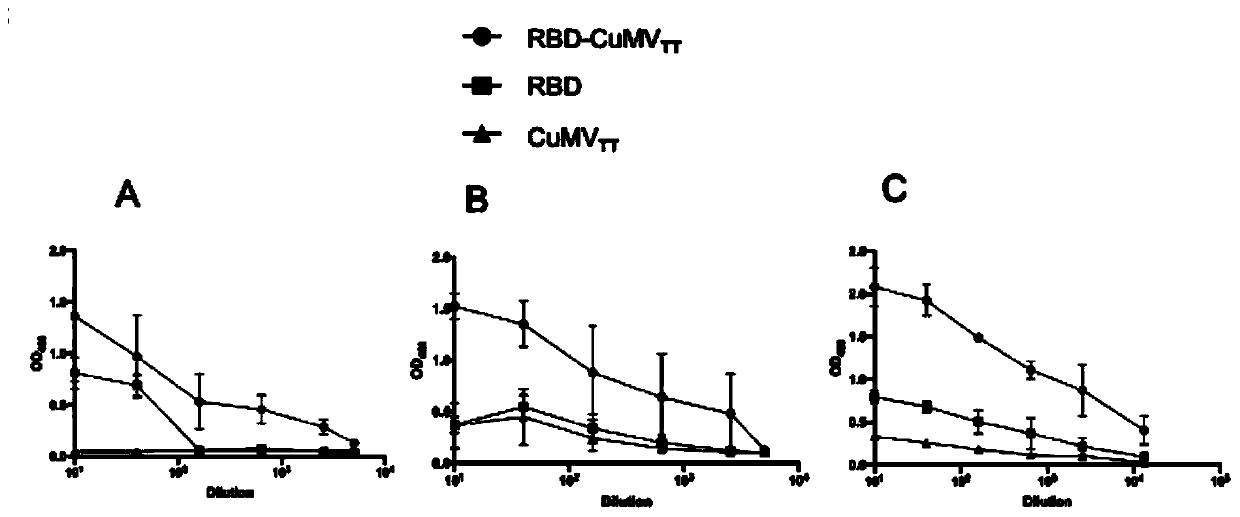 COVID-19-S-RBD virus-like particles and vaccine, and preparation methods of virus-like particles and vaccine