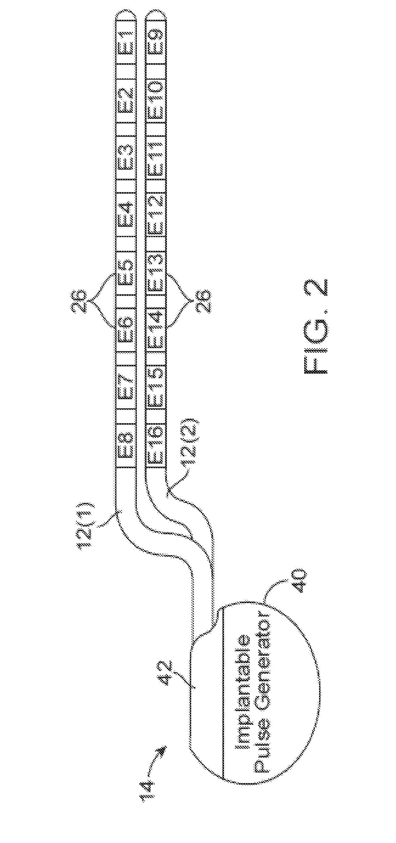 Neurostimulation system and method for automatically adjusting stimulation and reducing energy requirements using evoked action potential