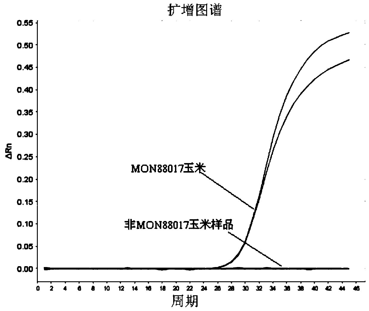 Transgenic maize mon88017 constructs a primer set and probe for accurate detection of specific quantitative PCR and its method