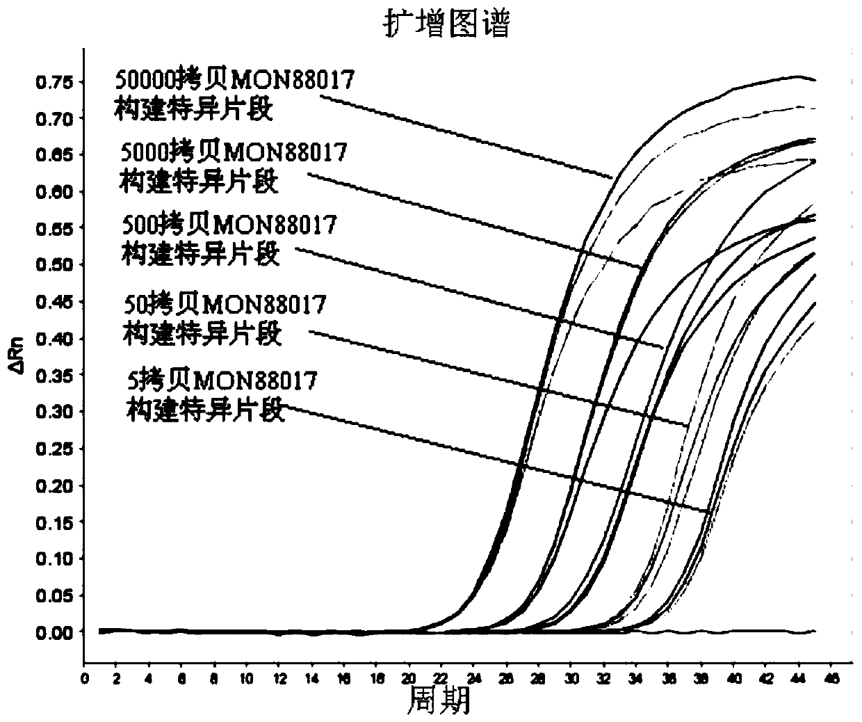 Transgenic maize mon88017 constructs a primer set and probe for accurate detection of specific quantitative PCR and its method