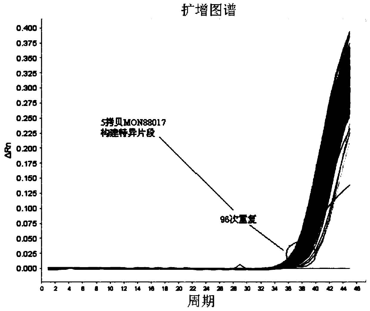 Transgenic maize mon88017 constructs a primer set and probe for accurate detection of specific quantitative PCR and its method