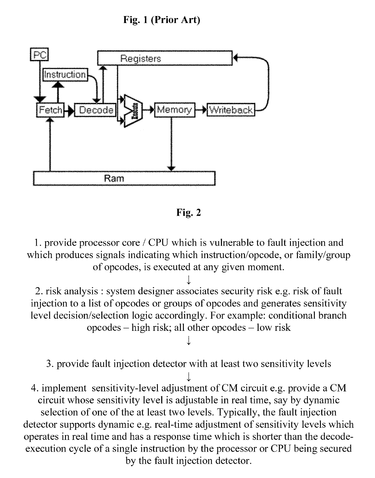 System and method for coping with fault injection attacks