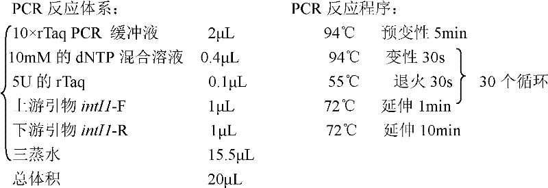 Method for detecting gene cassette array in bacterium integron by using EcoRII enzyme digestion restriction map library