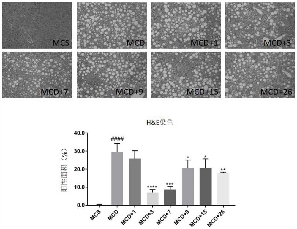 Polypeptide compound for preventing and/or treating non-alcoholic steatohepatitis