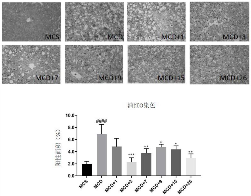 Polypeptide compound for preventing and/or treating non-alcoholic steatohepatitis