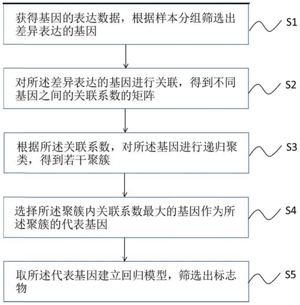 IgA nephropathy diagnosis marker combination and application thereof