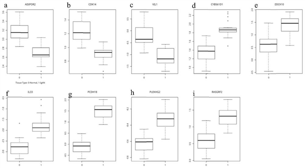 IgA nephropathy diagnosis marker combination and application thereof