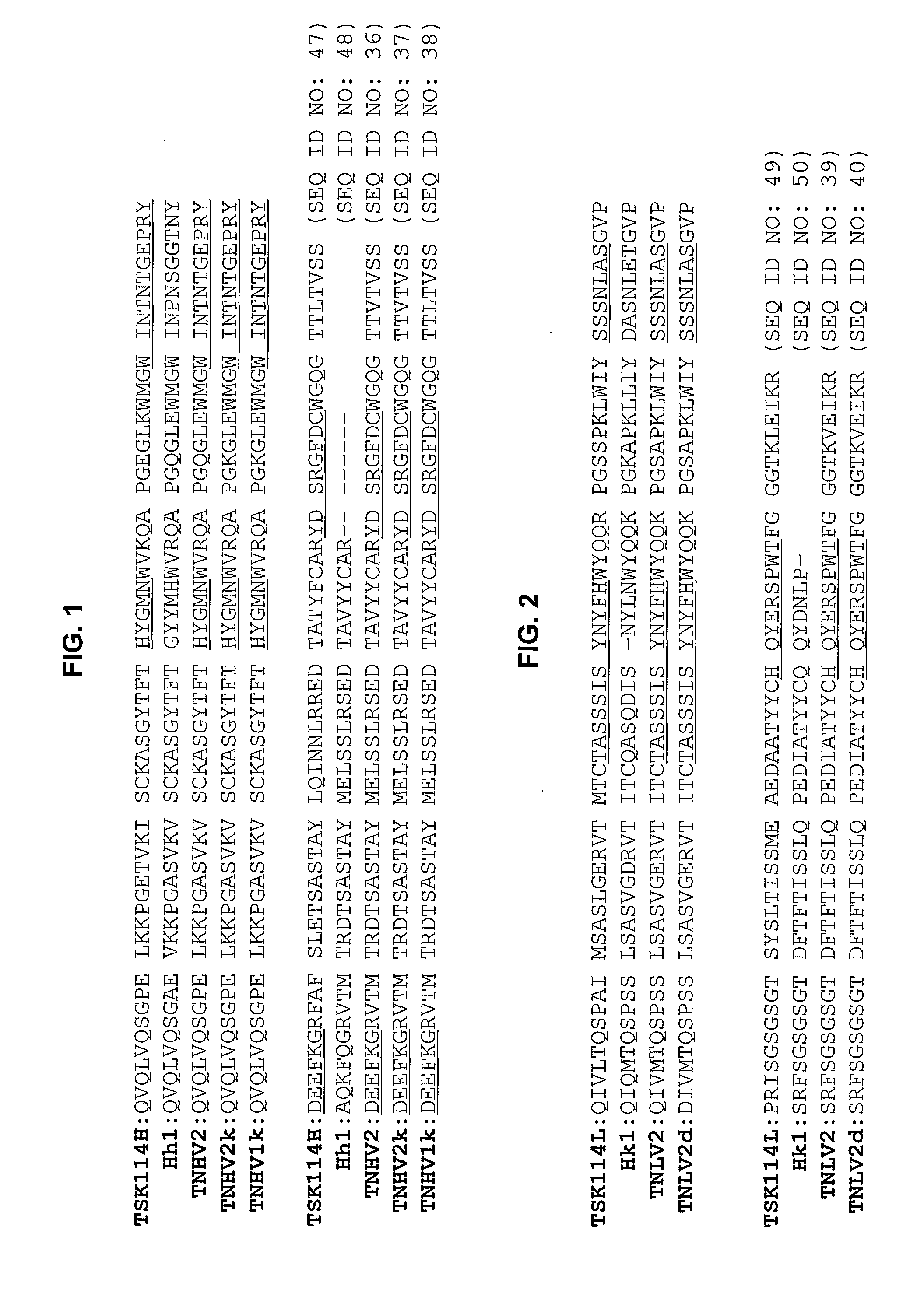 Humanized Antibody Specific For Tumor Necrosis Factor-Alpha