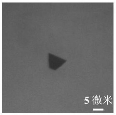 Preparation method of two-dimensional molybdenum sulfide crystal material with special morphology