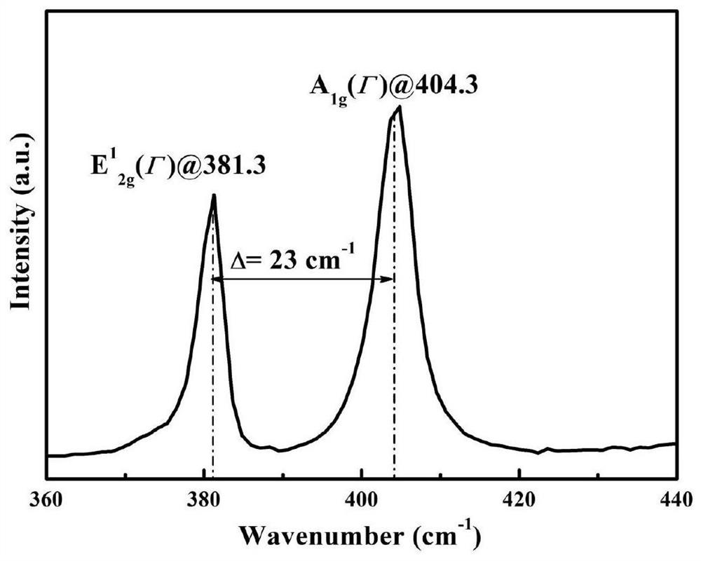 Preparation method of two-dimensional molybdenum sulfide crystal material with special morphology