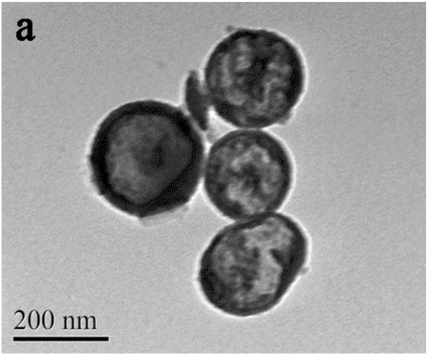 Multi-shell graphite phase carbon nitride hollow nanosphere and synthesis method and application thereof