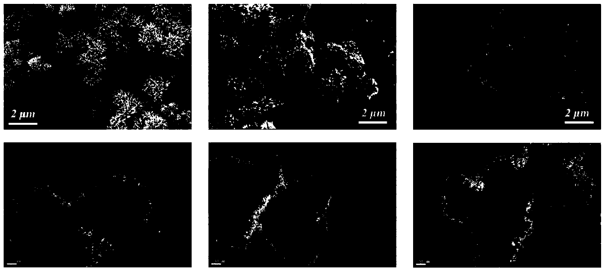 Preparation method of wear-resistant super-amphiphobic coating based on titanium dioxide/silica composite nanoparticles