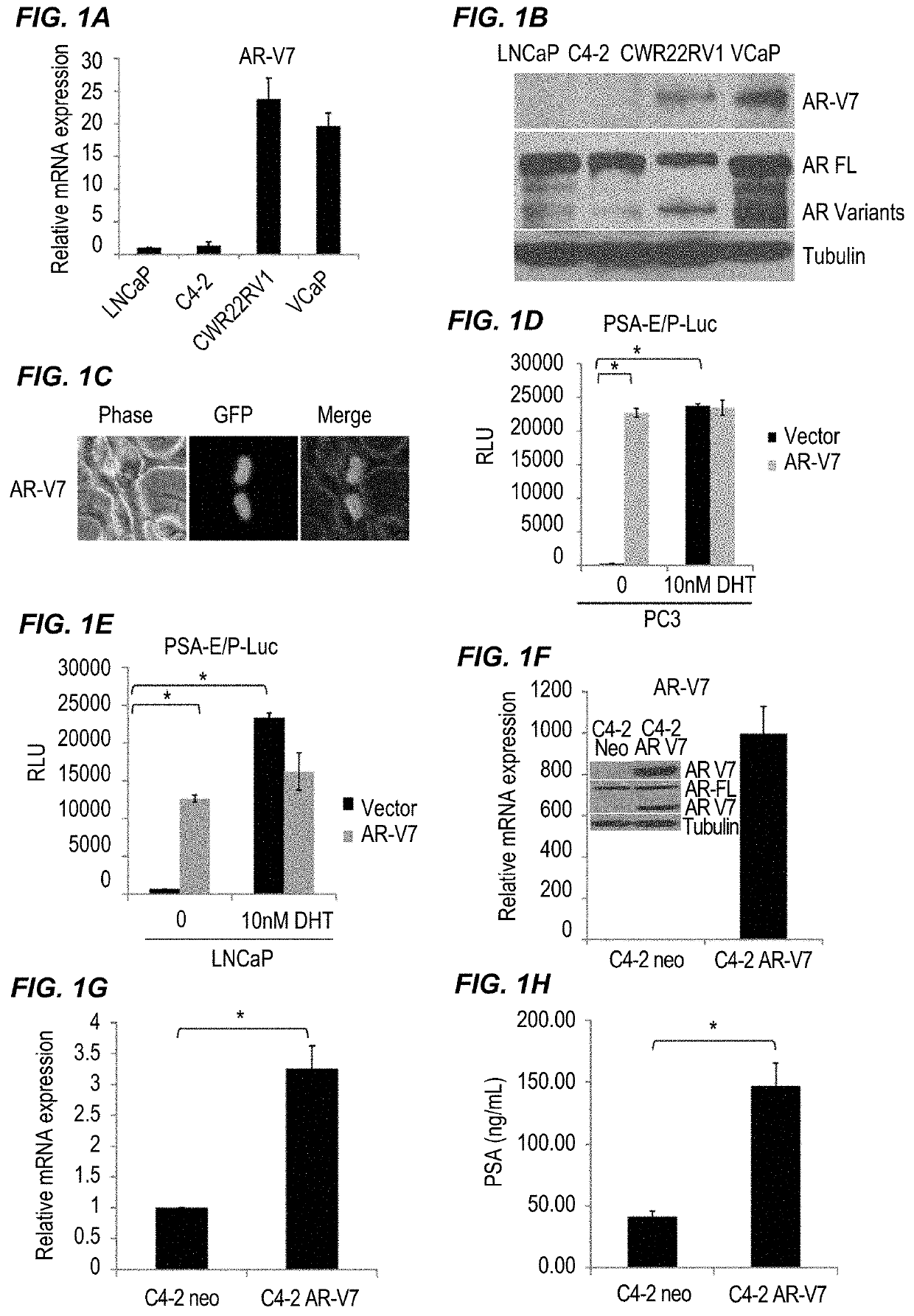 Treatment of metastatic prostate cancer