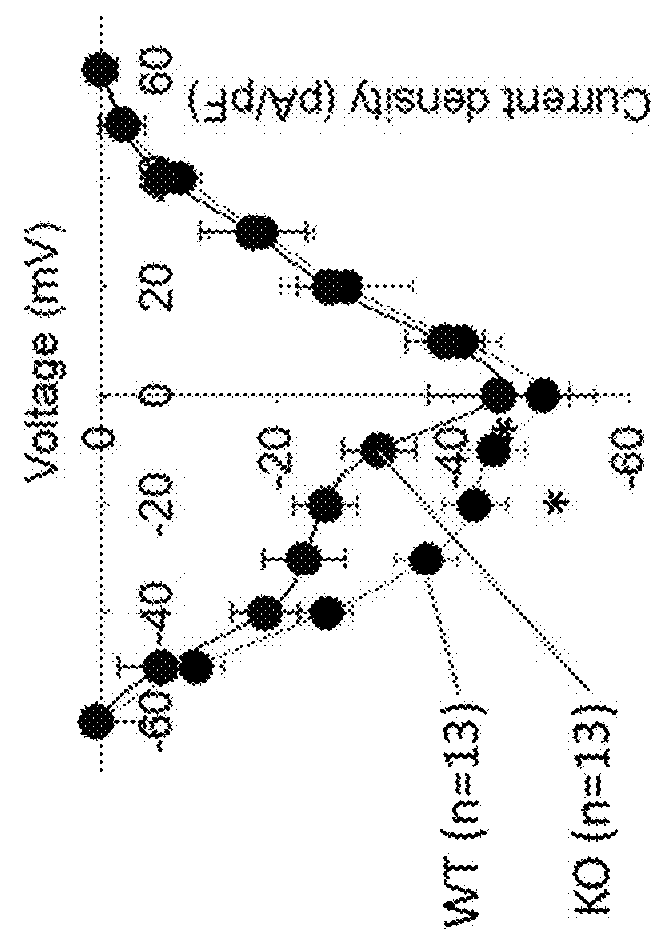 Methods for modulating klhl1 levels, methods for modulating current activity in t-type calcium channels, molecules therefor, and methods for identifying molecules therefor