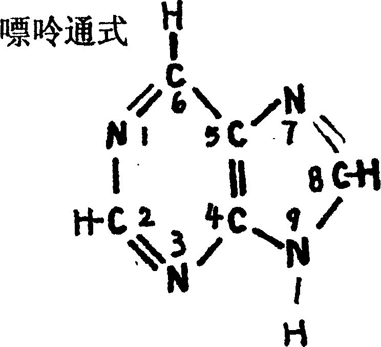 Purine derivative and its prepn process