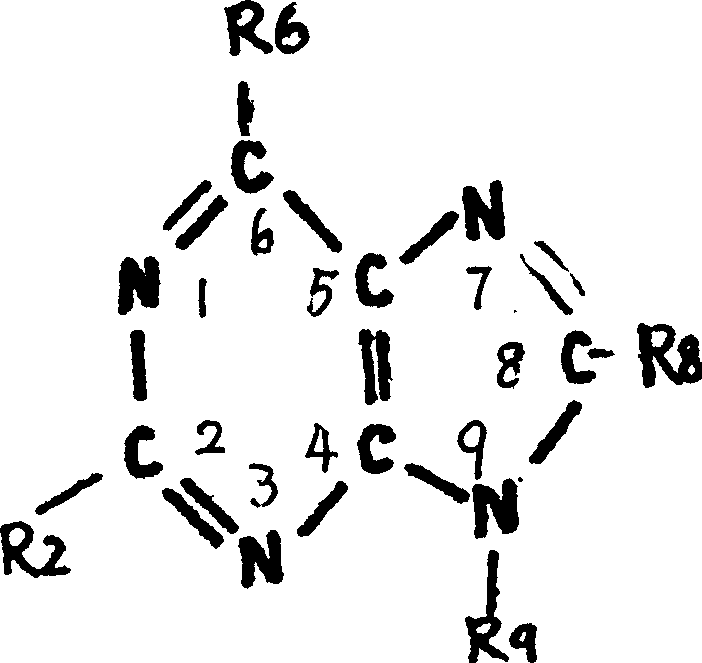 Purine derivative and its prepn process